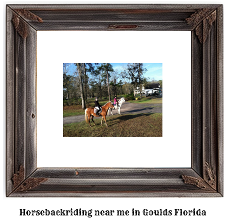 horseback riding near me in Goulds, Florida